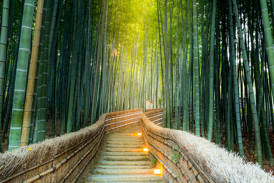 kyoto-4