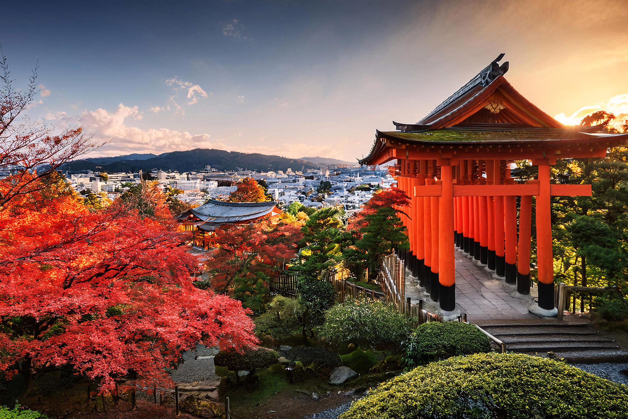 AdobeStock_1107315823